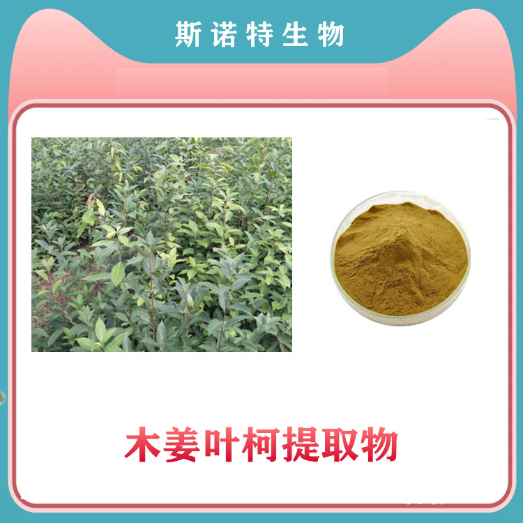 木姜叶柯提取物10:1萃取 营养增补剂 附检测报告 包邮