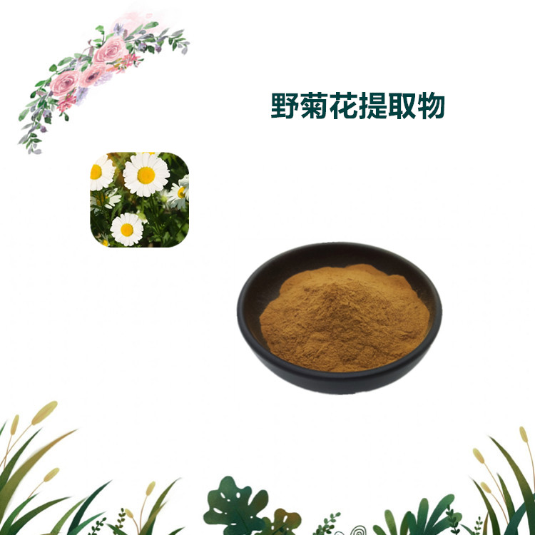 沃特莱斯生物 野菊花提取物 萃取粉 速溶粉 1公斤起订 可寄样
