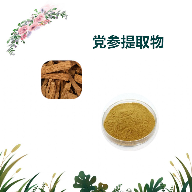 沃特莱斯生物 党参提取物 党参皂甙 党参粉 1公斤起订 可寄样