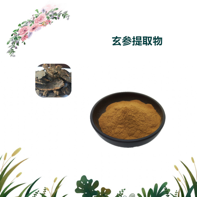 沃特莱斯生物 玄参提取物 速溶粉 萃取粉 1公斤起订 可寄样