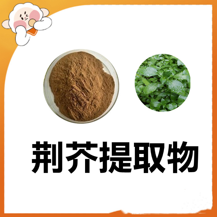 荆芥提取物  固体饮料   含多种营养成分   植物原料  食品级   比例产品