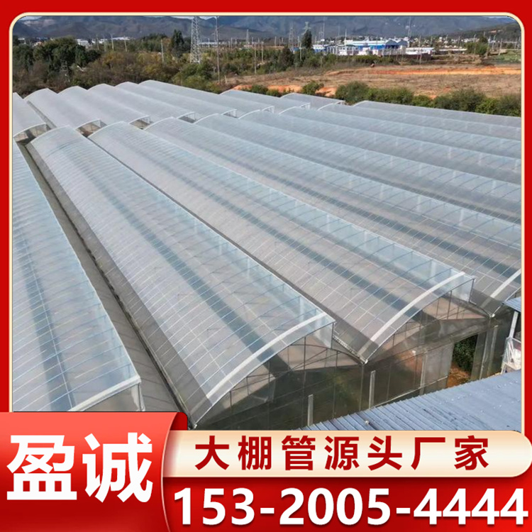 连栋大棚 轻钢结构 智能温室工程 大棚骨架 搭建工期短 坚固耐用