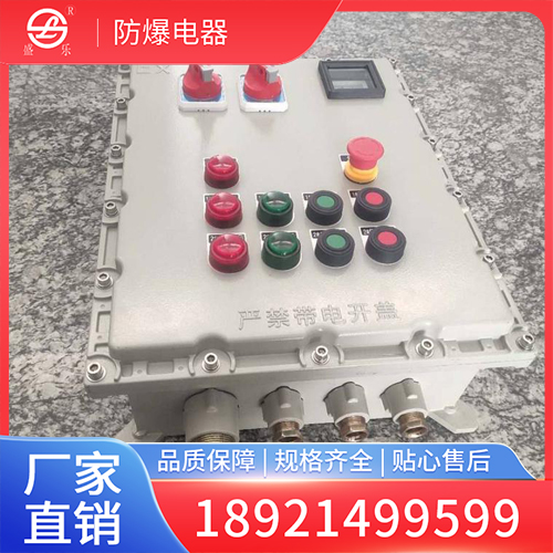 防爆配电箱 照明动力开关箱
