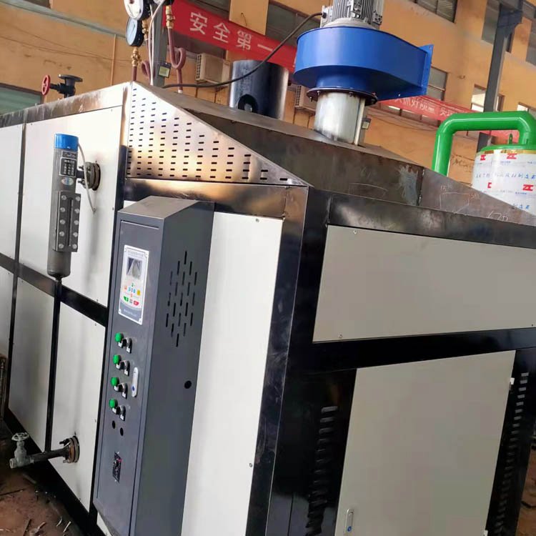 生物质锅炉 生物质蒸汽蒸发器 自动运行 可定制