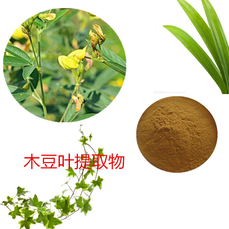 木豆叶提取物 10:1 水提 多规格比例 木豆叶粉 木豆叶浓缩粉