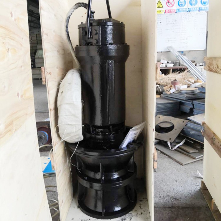 潜水混流泵 立式潜水轴流泵 大流量 农业灌溉排涝污水泵 兰江泵业