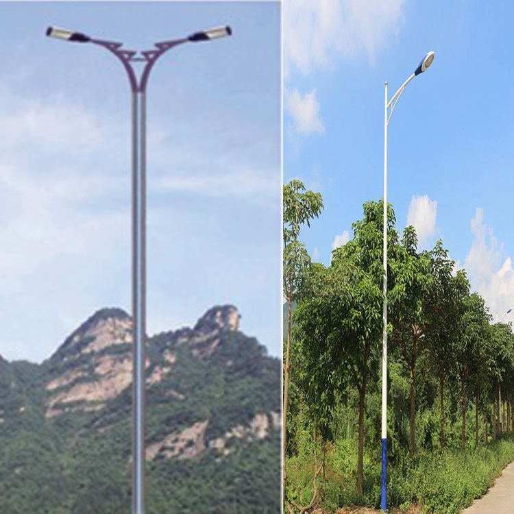 厂区新农村路灯 LED照明路灯厂家