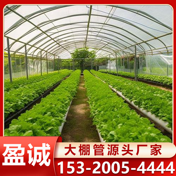 温室大棚 食用菌棚 种植棚 外遮阳 恒温保湿效果好 可定制