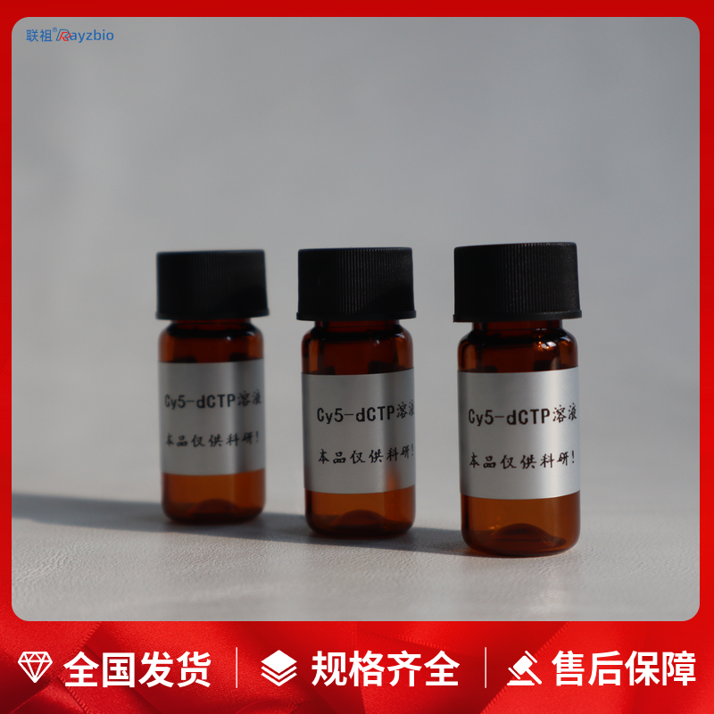 Cy5-dCTP溶液
