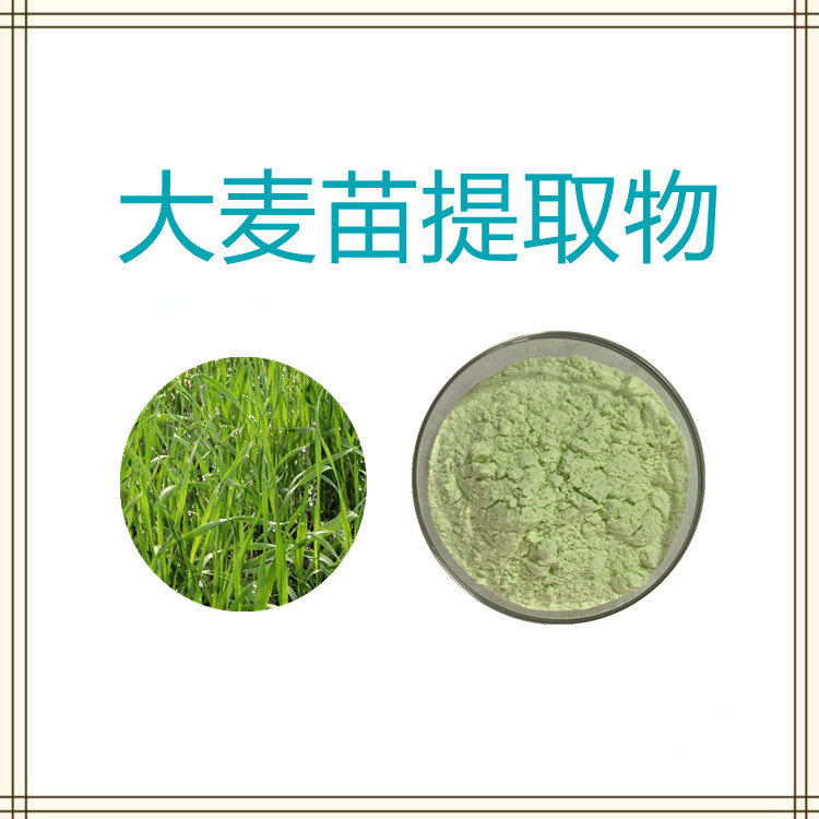 大麦苗粉  粉末流动性好   国标生产  植物原料    质量稳定   可寄样