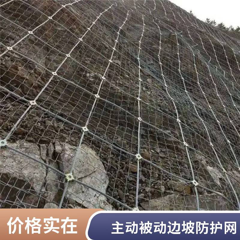 边坡防护网 主动被动山体落石裸土绿化覆盖网 柔性钢丝绳护坡网
