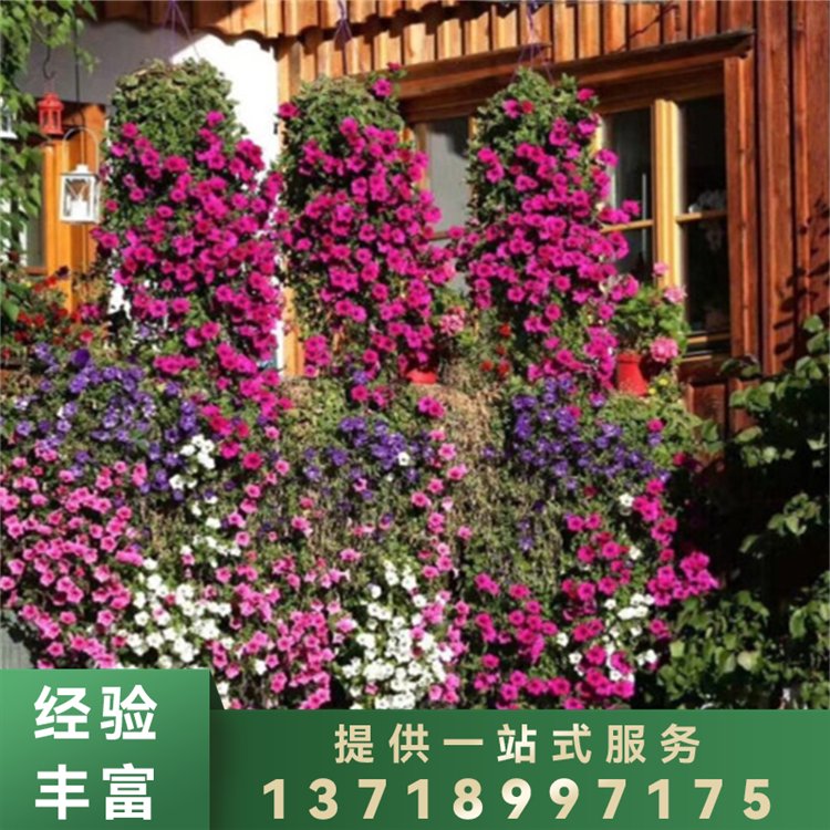 市政园林绿化 园艺景观工程厂区园林修剪维护保养 福康乐