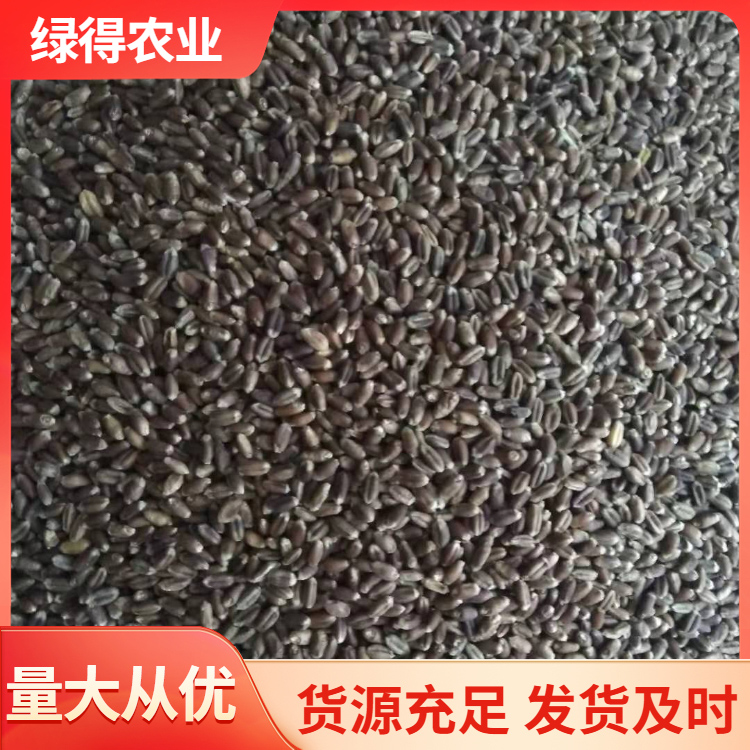黑麦仁型号齐全