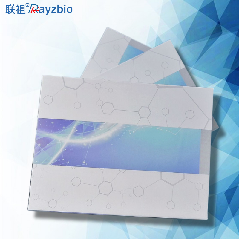 HDAC2组蛋白脱乙酰化酶2ELISA试剂盒