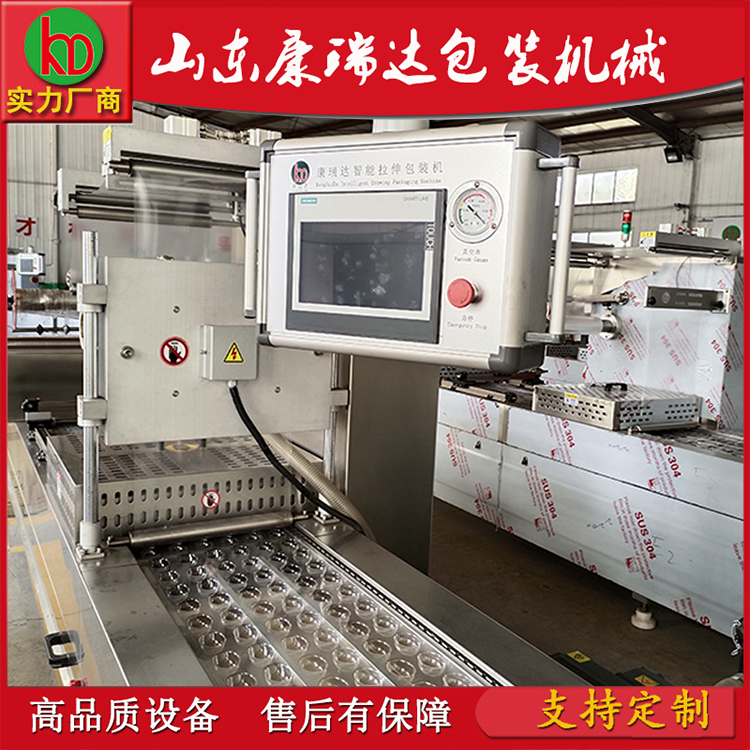 熟食拉伸膜包装机 冷面真空封口机