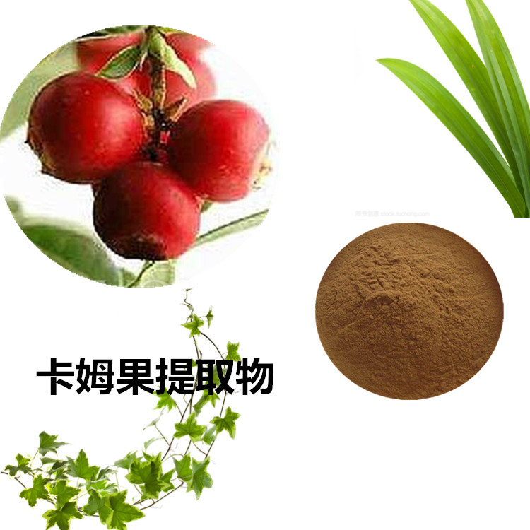 卡姆果提取物 10:1 水提 卡姆果浸膏 卡姆果粉 水溶粉