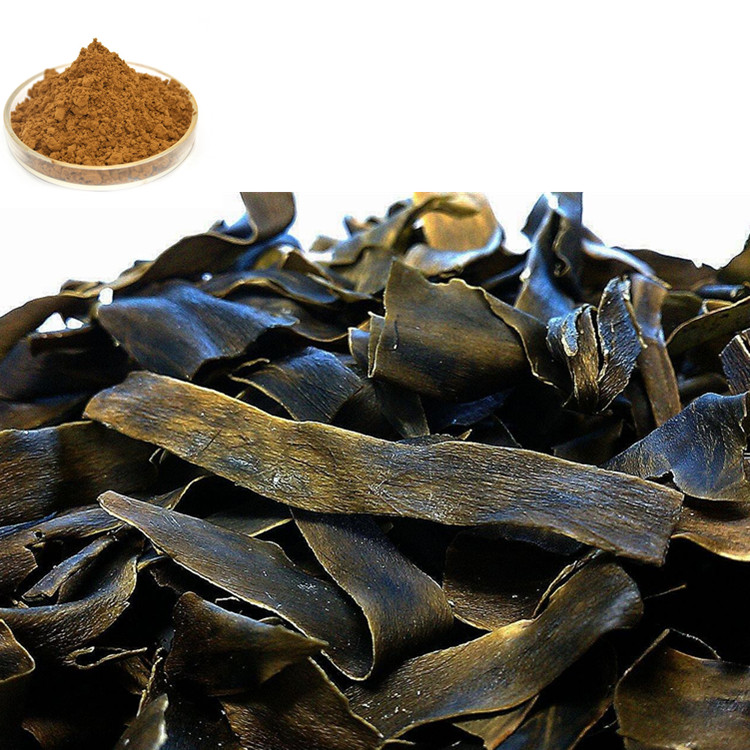 水溶昆布粉 昆布提取物 斯诺特生物 固体饮料压片糖果