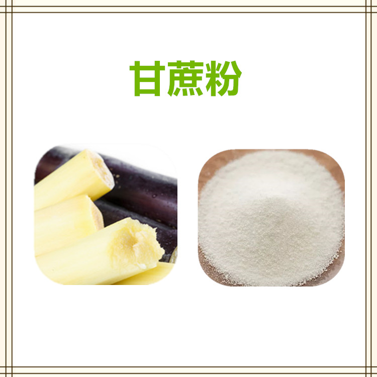 沃特莱斯生物 甘蔗粉 甘蔗膳食纤维 水溶性好 1公斤起订