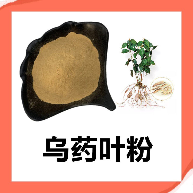 乌药叶粉 六盘韵生产 欢迎实地参观考察 现货包邮 全水溶