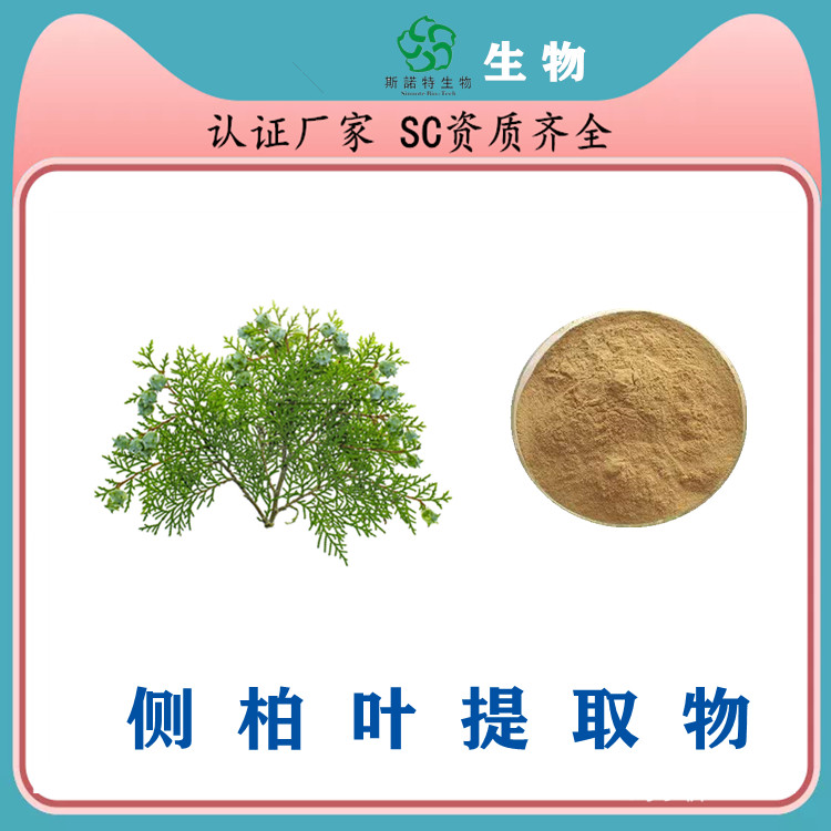 侧柏叶提取物 浓缩萃取工艺 可做浸膏 可提供出口备案