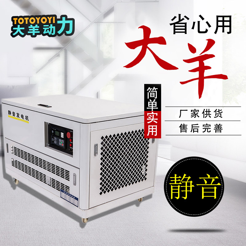 大羊动力10KW燃气发电机