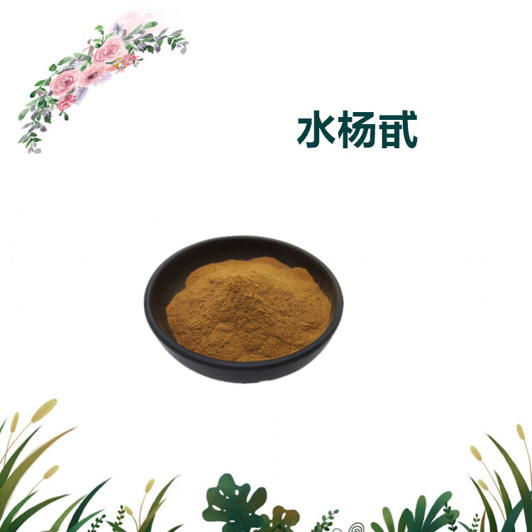 沃特莱斯生物 水杨甙 水杨苷 白柳皮提取物 1公斤起订 可寄样