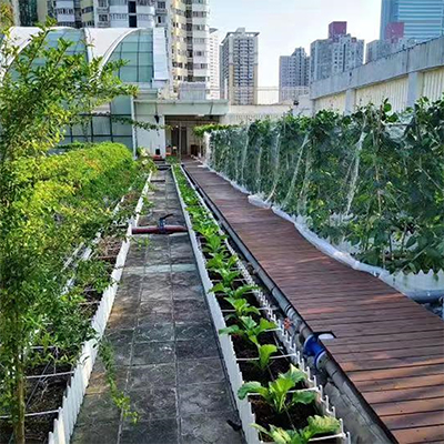 供应楼顶轻质土种植土适用于月季蔷薇促进植物生长营养土