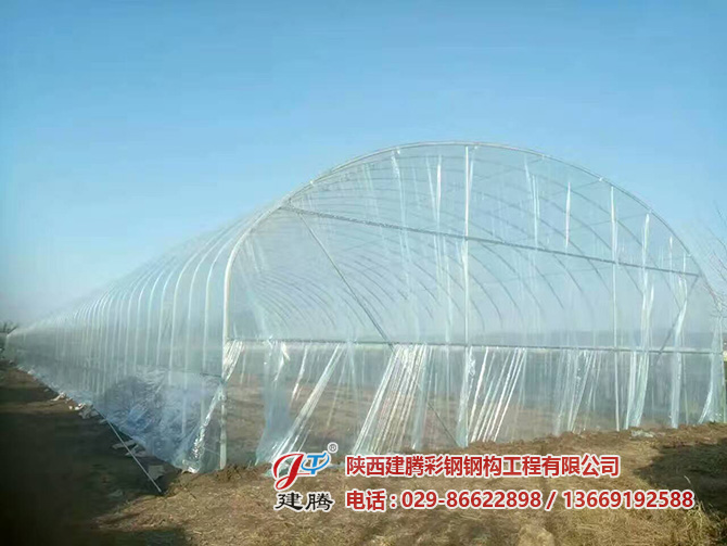 轻钢大棚价格