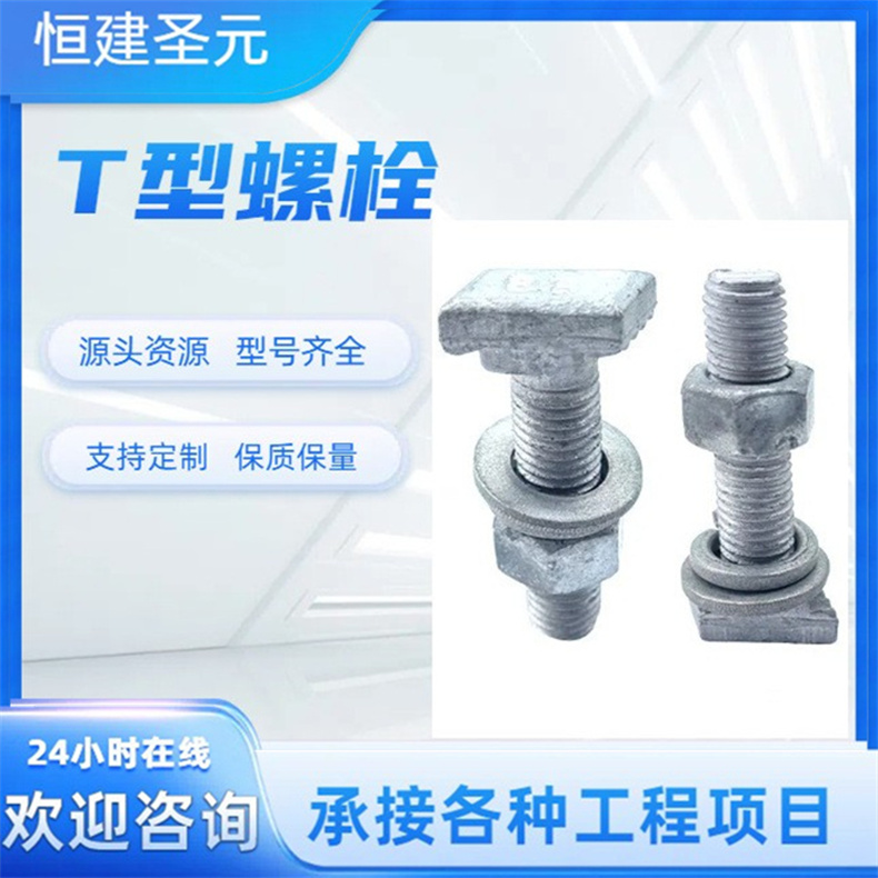 8.8T型螺栓 T型头高强度8.8级扭转型螺丝钉 高强T型螺栓