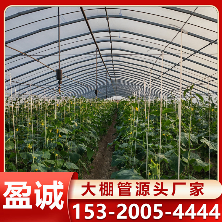 观光休闲蔬菜大棚 玻璃温室建造 保温耐风雨 大棚管定制 加工