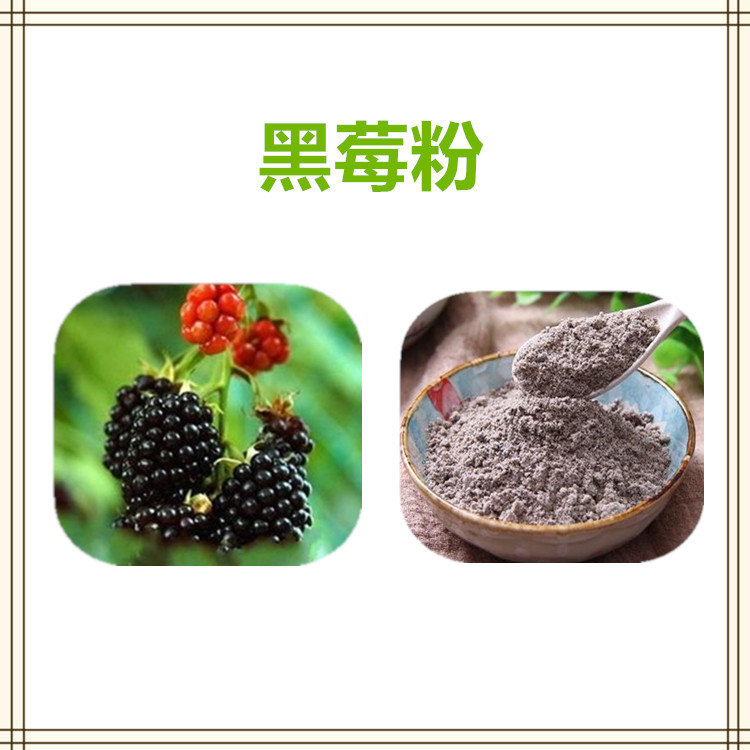 沃特莱斯生物 黑莓粉 水溶性粉末 喷雾干燥粉 可定制