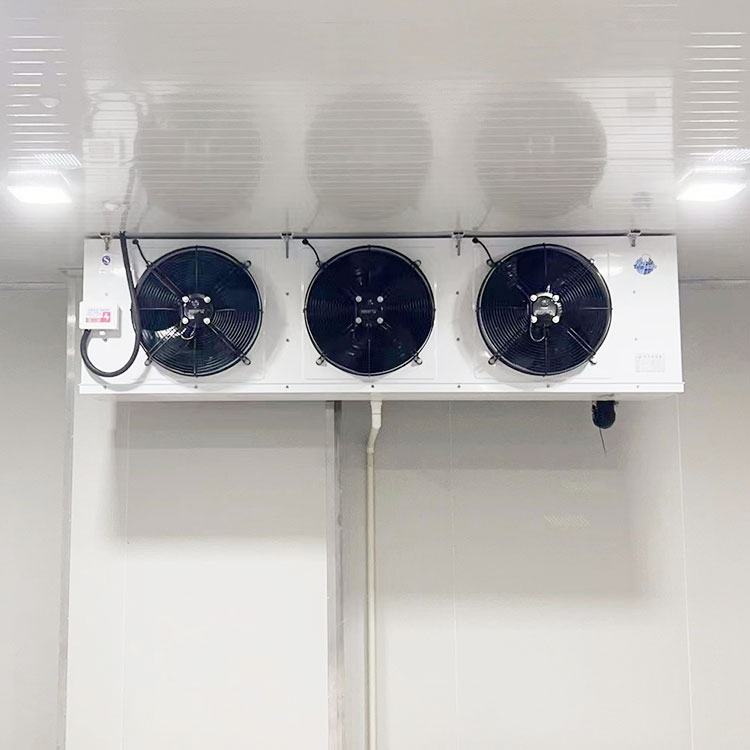 四川速冻冷藏保鲜库 移动冷冻 冻库凌锐制冷批发