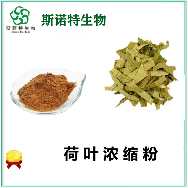 荷叶提取物 荷叶浓缩粉10:1萃取 规格全 质量