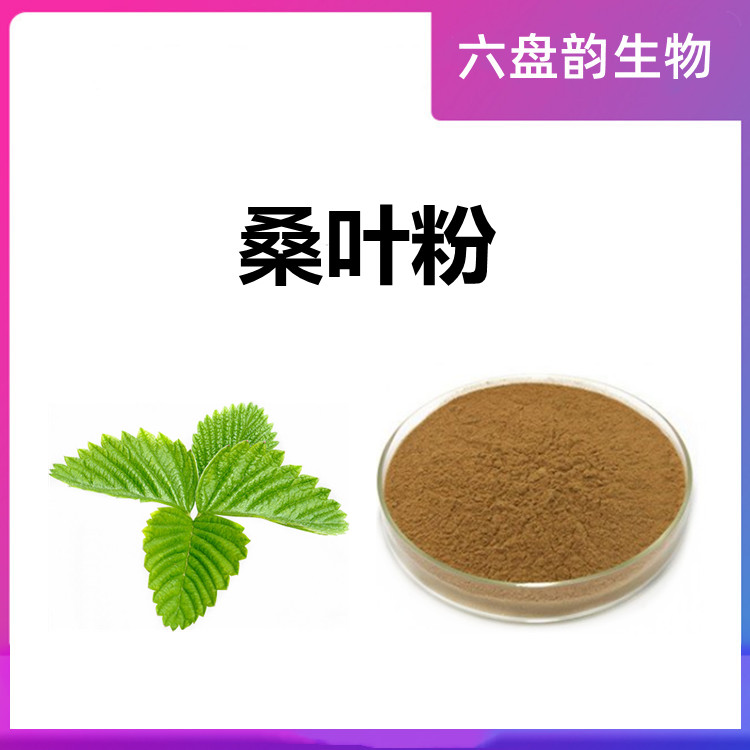 桑叶粉  六盘韵生物 提取 浓缩 喷雾干燥成粉 过筛灭菌 包装