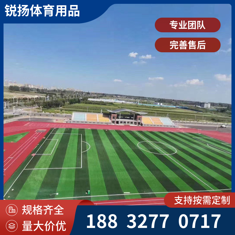 新国标环保透气型塑胶跑道 材料厂家 全国施工