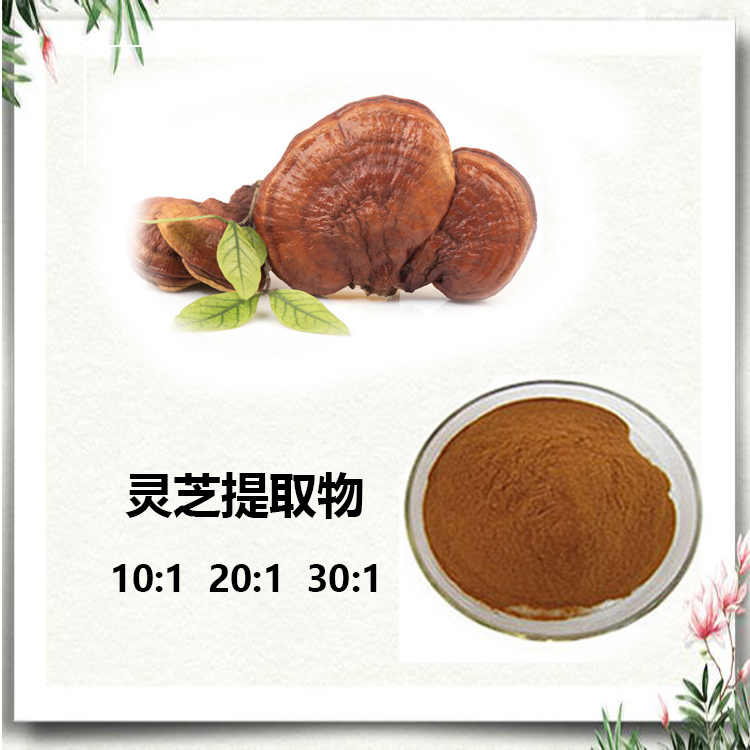 灵芝粉 98% 灵芝孢子粉 灵芝多糖 30% 灵芝提取物 10:1