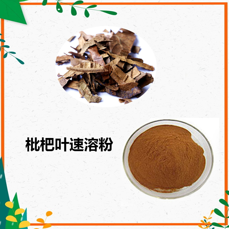 枇杷叶提取物 10:1 水提 枇杷叶粉 熊果苷 98%