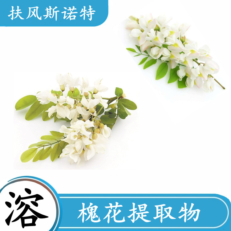 槐花粉 药食同源斯诺特生物可拆包打样定制 水溶细粉