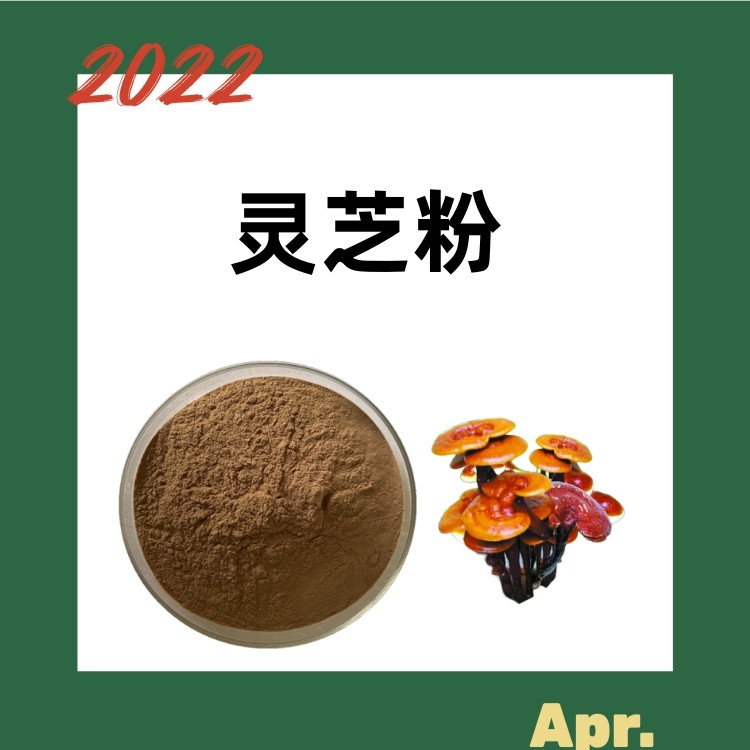 灵芝粉  10:1比例提取  水溶原料粉 长期库存 源头发货  六盘韵