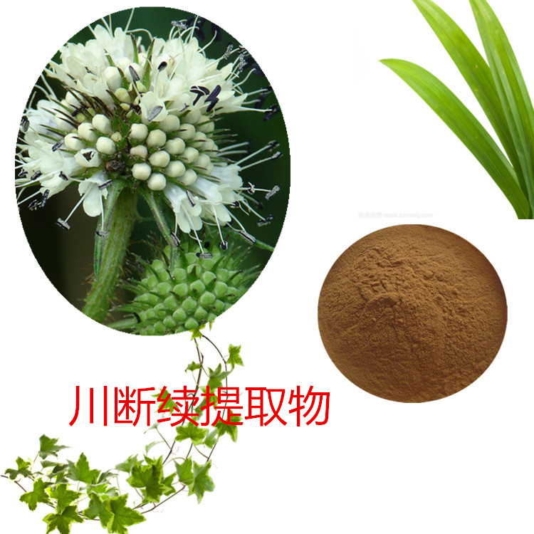 天绿香提取物 10:1 水提 多规格比例 天绿香水溶粉 80目