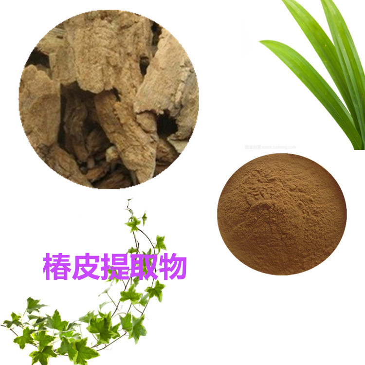 椿皮提取物 10:1 水提 椿皮浓缩粉 椿皮浸膏粉 80目