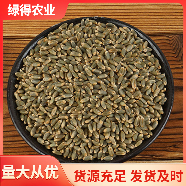 绿小麦电话