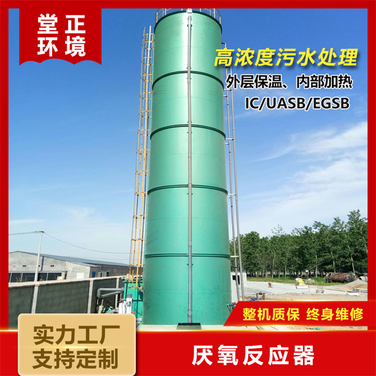厌氧反应器 支持定制 厌氧生物反应器