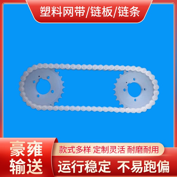 供应小节距传动链 耐酸碱耐腐蚀传动链 PP塑胶链条 纯PP塑料输送链