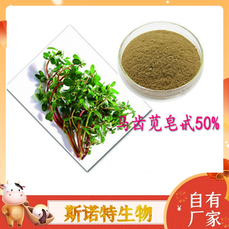 马齿苋皂甙 假马齿苋提取物粉 20:1 纯粉无添加