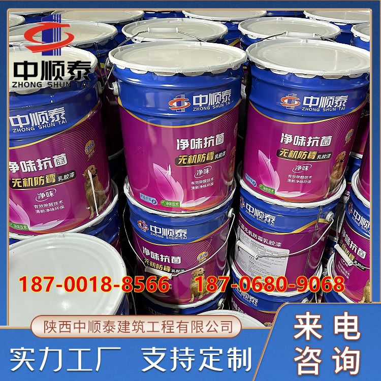 净味抗菌无机防霉乳胶漆 抗菌防霉可调配性强 中顺泰