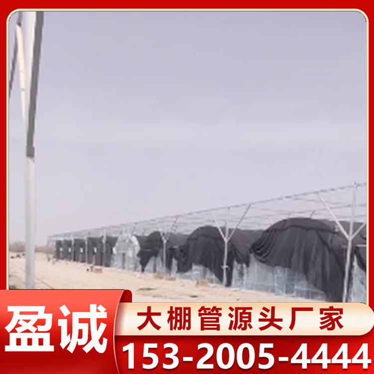 温室大棚 温室大棚管厂家承建 整体结构稳定性好 棚内光照均匀