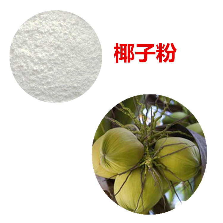 椰子果粉 98% 椰子浓缩汁 椰子水溶粉 椰子提取液 水提