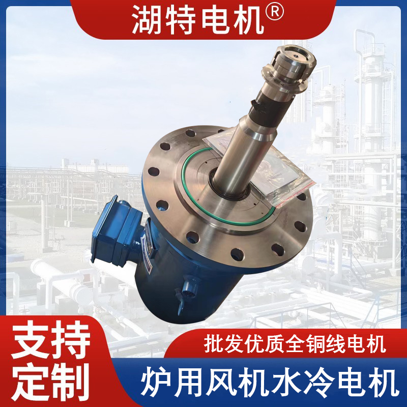 炉用水冷电机