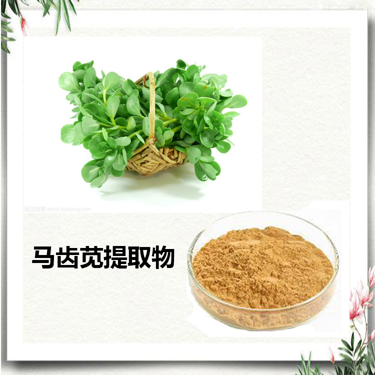 马齿苋提取物 10:1 水提 马齿苋黄酮 20% 马齿苋浸膏